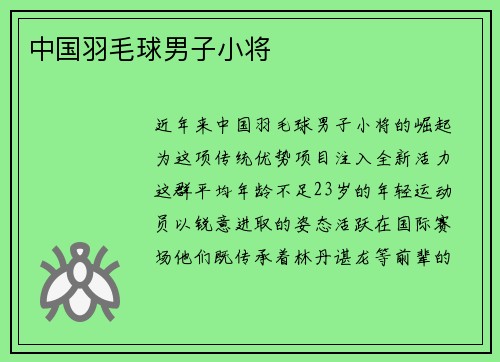 中国羽毛球男子小将