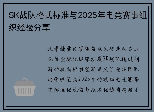 SK战队格式标准与2025年电竞赛事组织经验分享